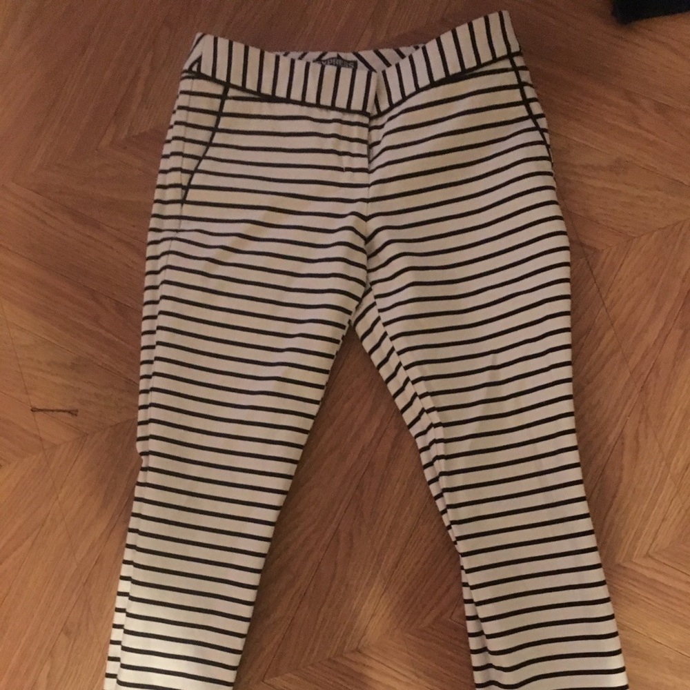 Express pinstriped slacks